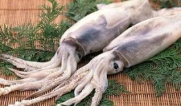 鱿鱼爆料实拍视频在线观看,鱿鱼爆料视频在线观看，惊现幕后真相