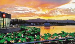 晚霞影音在线观看理论,探索在线观看理论新篇章